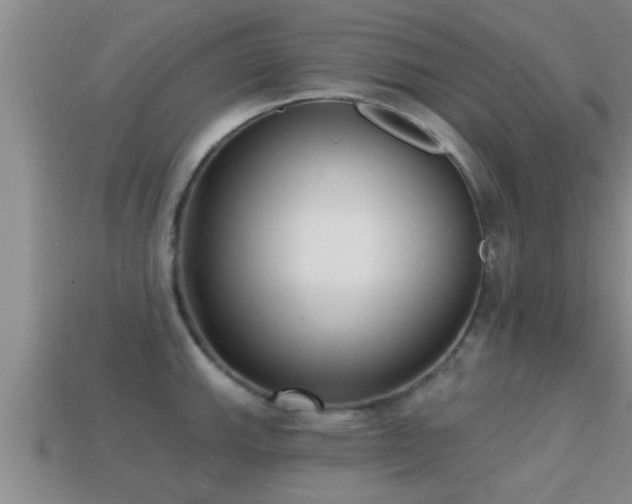 X0000113201143200909171508