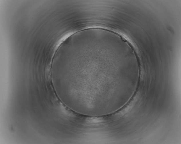 X0000113201145200909171508