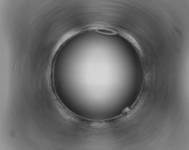 X0000113201146200909171508