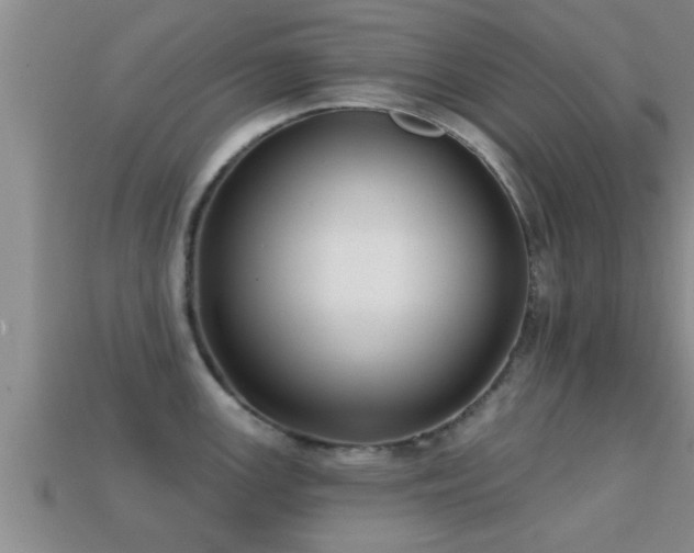 X0000113201147200909171508