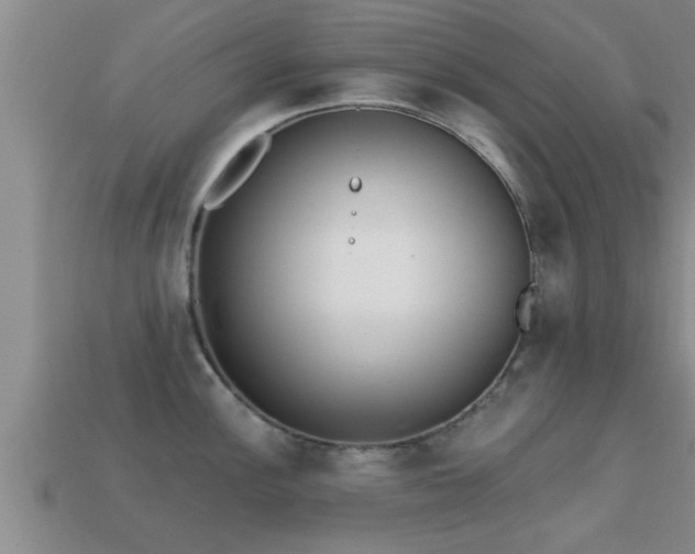 X0000113201148200909171508