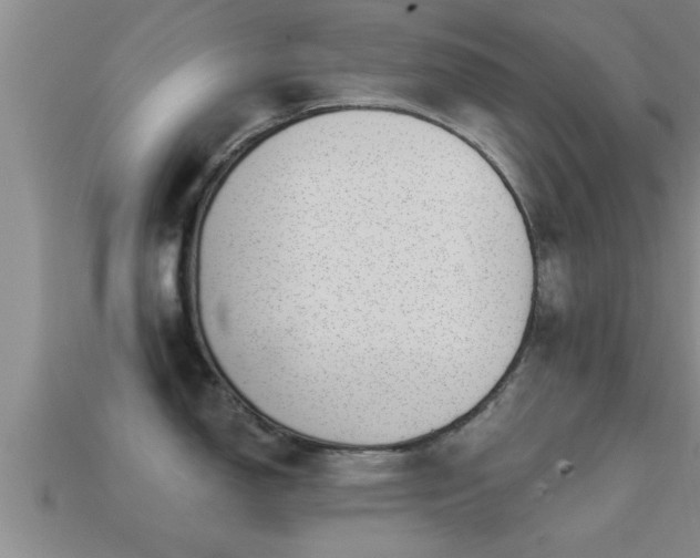 X0000113201150200909171508