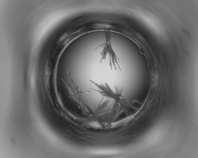 X0000113201151200909171508