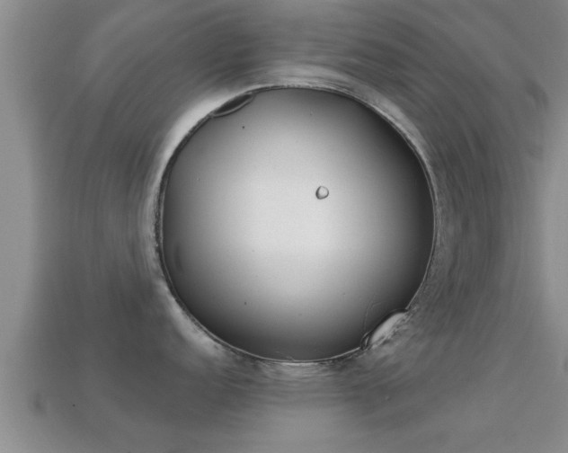 X0000113201152200909171508