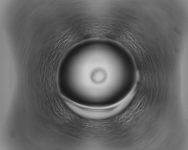 X0000113201153200909171508