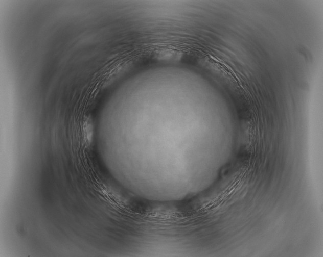 X0000113201154200909171508