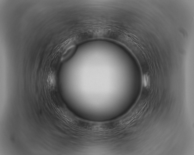 X0000113201155200909171508