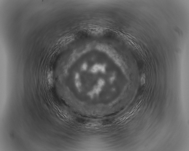 X0000113201156200909171508