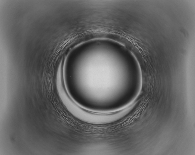 X0000113201157200909171508