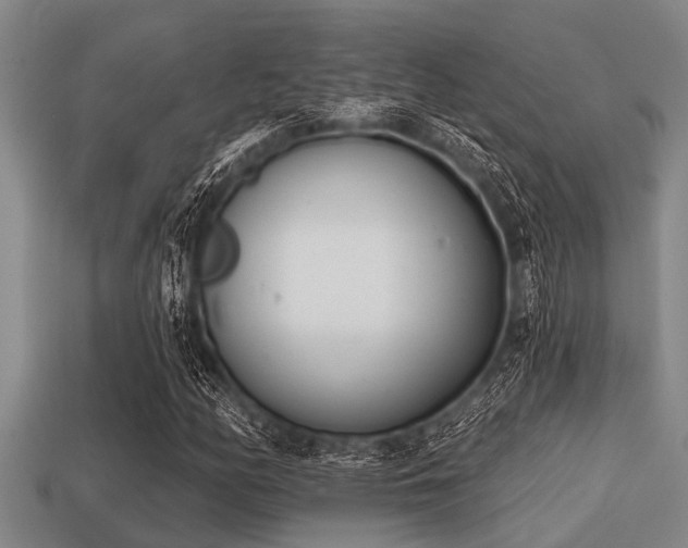 X0000113201158200909171508