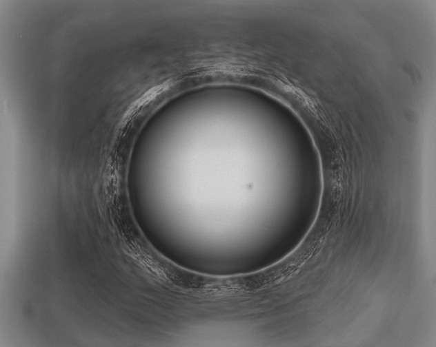 X0000113201159200909171508