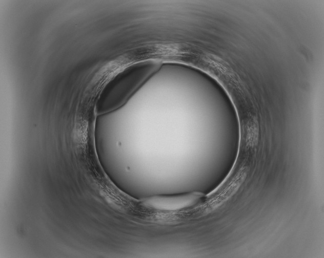 X0000113201161200909171508