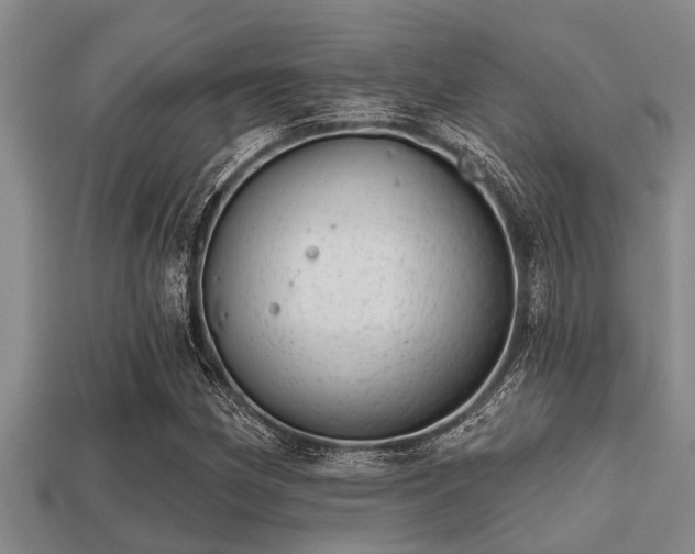 X0000113201162200909171508