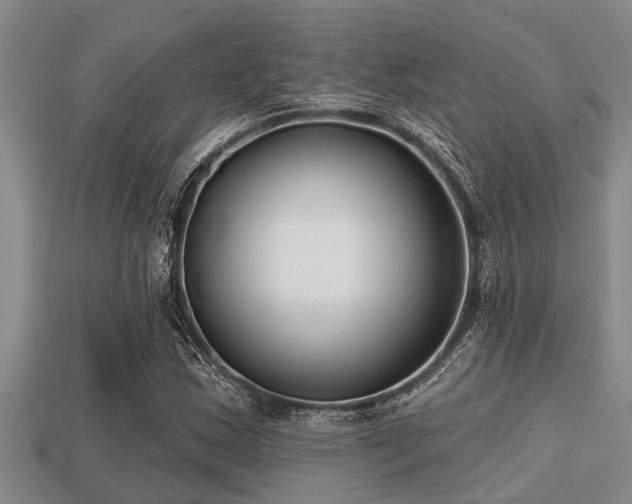 X0000113201163200909171508