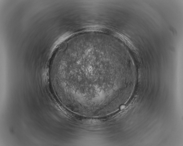 X0000113201164200909171508
