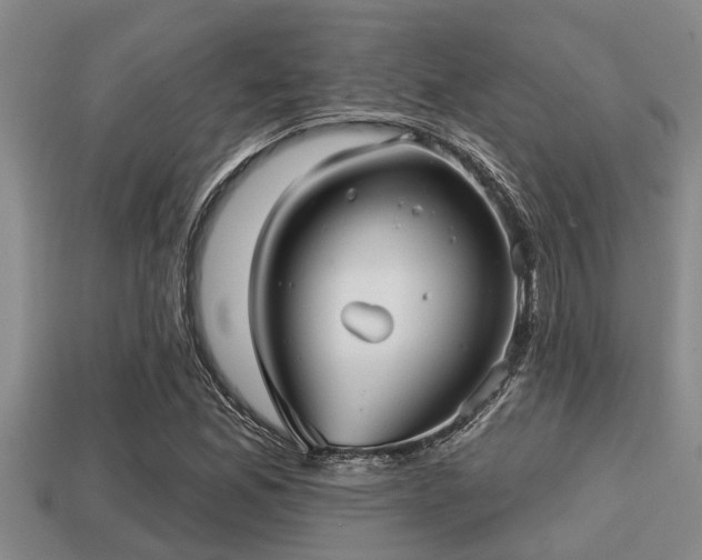 X0000113201165200909171508