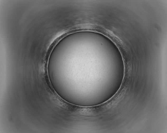 X0000113201166200909171508