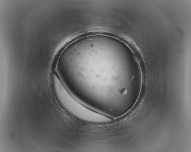 X0000113201167200909171508