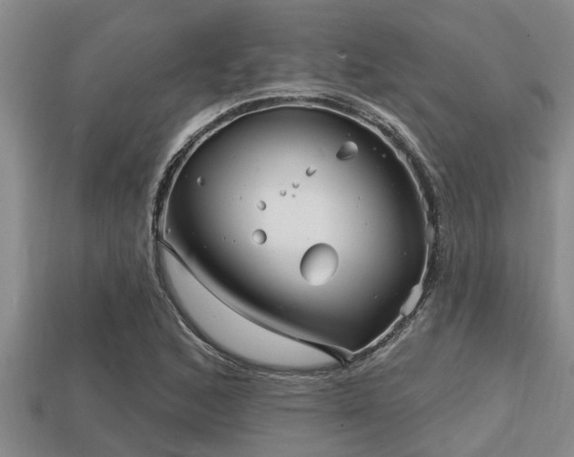 X0000113201168200909171508