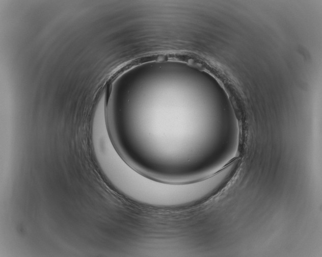 X0000113201169200909171508