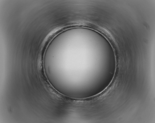 X0000113201172200909171508