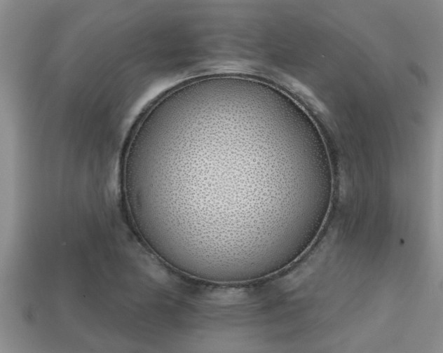 X0000113201174200909171508