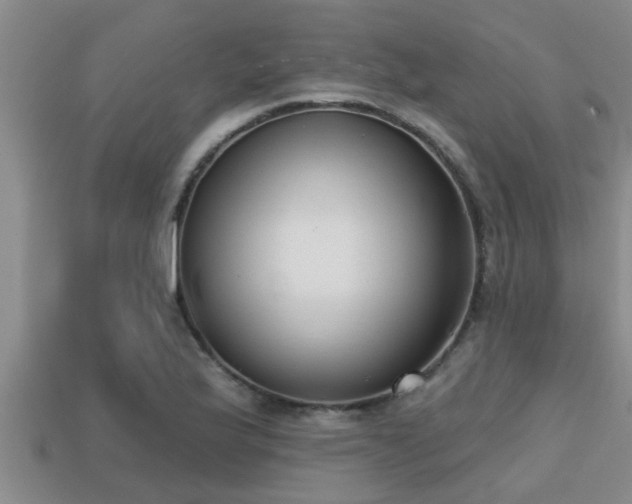 X0000113201175200909171508