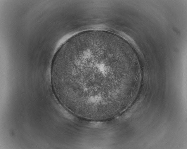 X0000113201176200909171507
