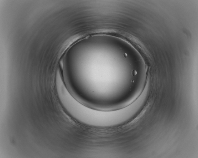 X0000113201177200909171507