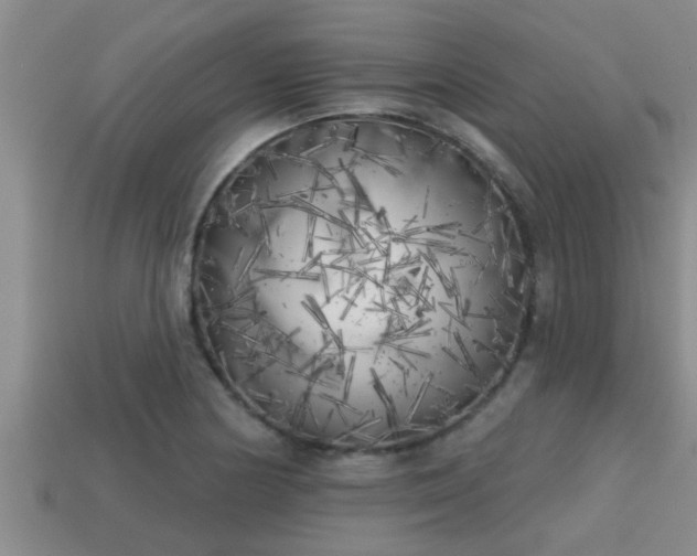 X0000113201178200909171507