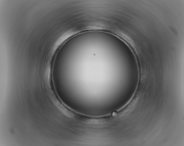 X0000113201179200909171507