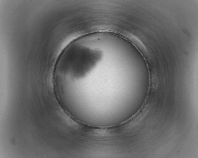 X0000113201182200909171507