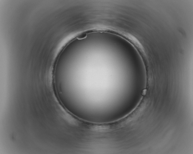 X0000113201183200909171507