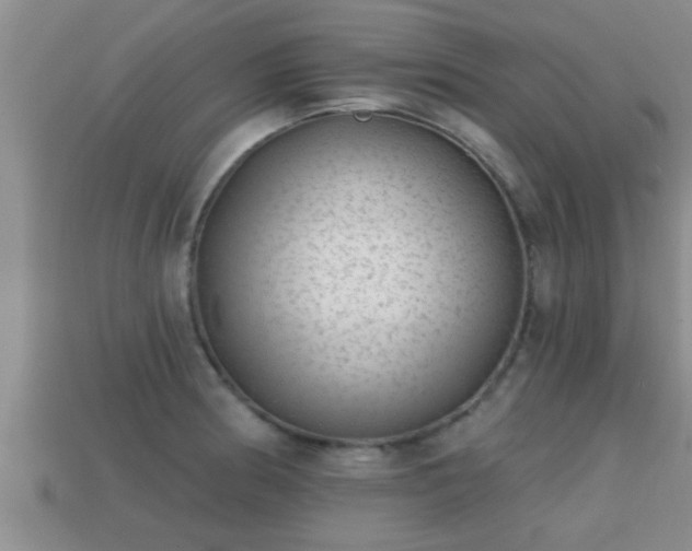 X0000113201186200909171507