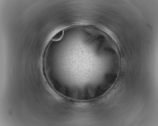 X0000113201187200909171507