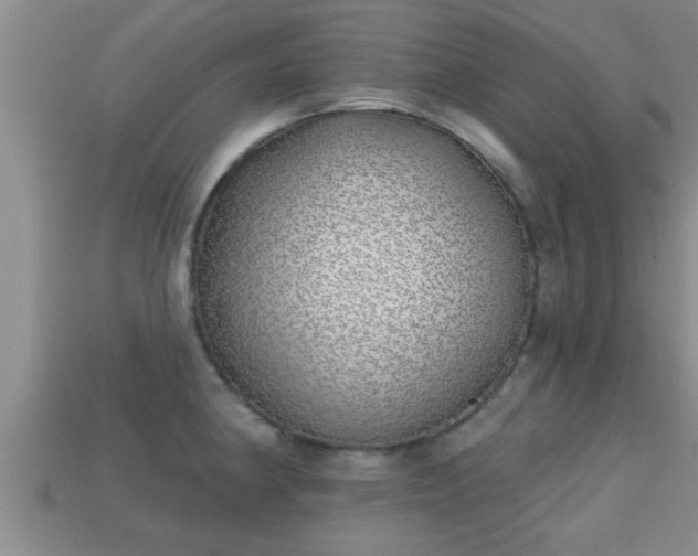 X0000113201190200909171507