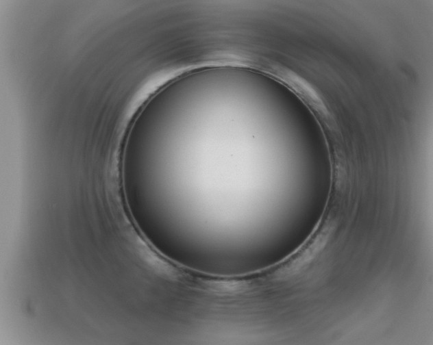 X0000113201192200909171507