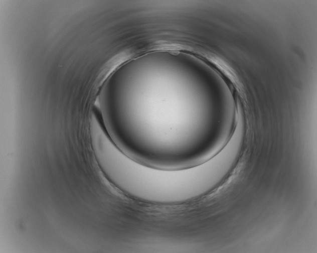 X0000113201193200909171507