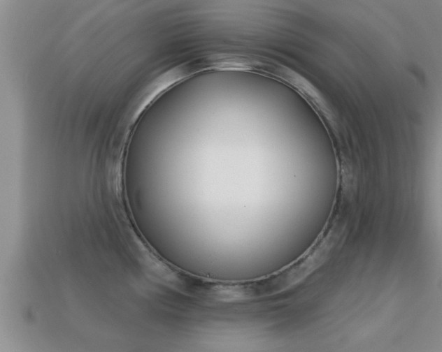 X0000113201194200909171507