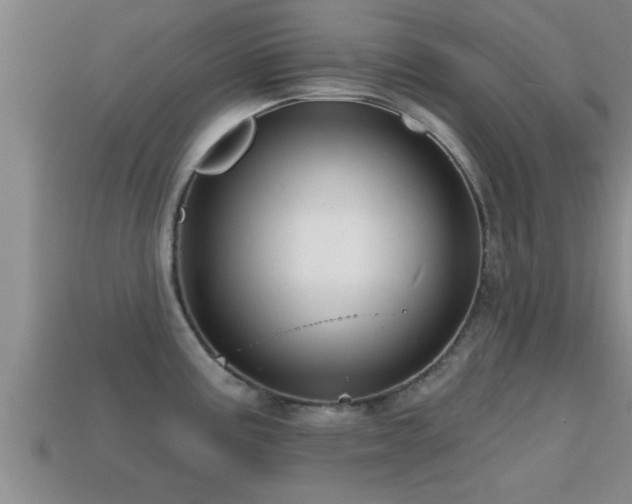 X0000113201195200909171507