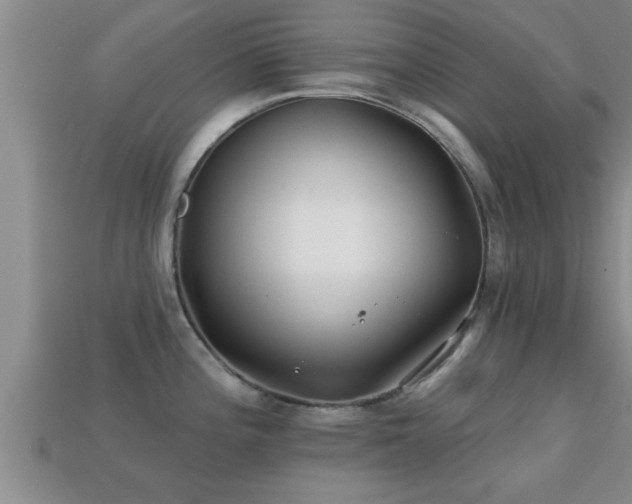 X0000113201196200909171507