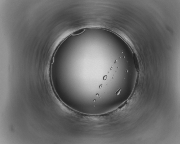 X0000113201197200909171507