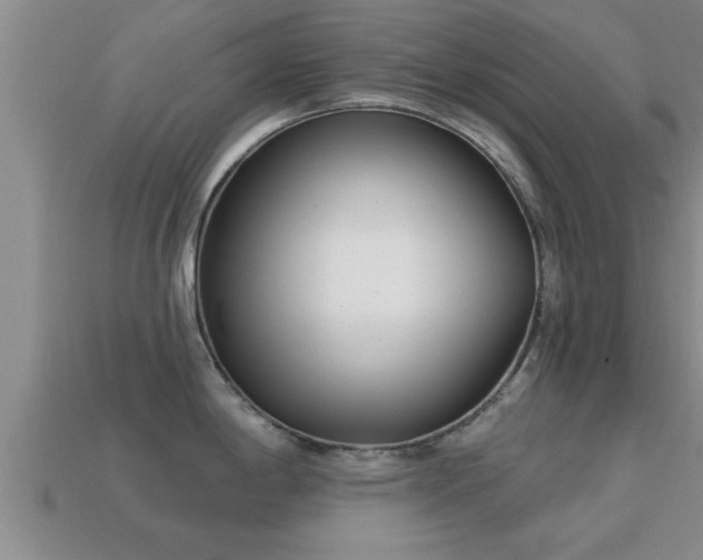 X0000113201198200909171507