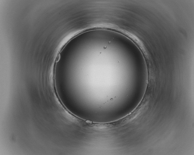 X0000113201199200909171507