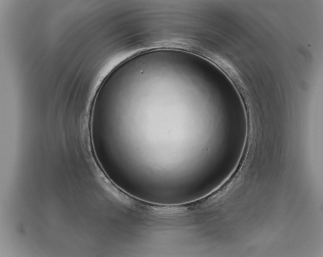 X0000113201200200909171507