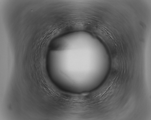 X0000113201201200909171506