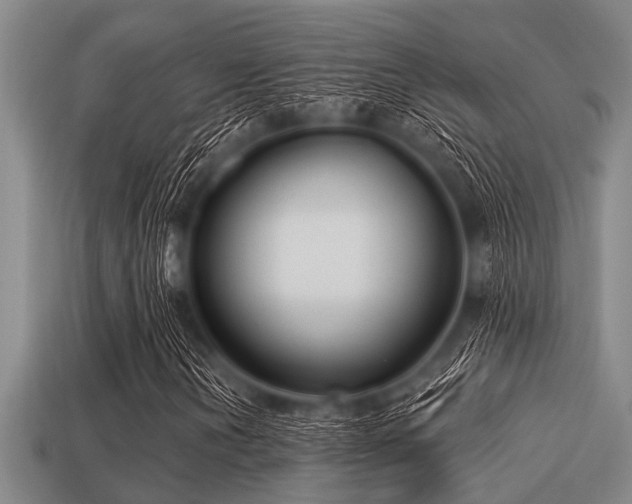 X0000113201202200909171506