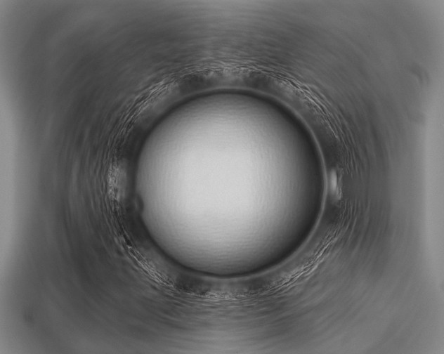 X0000113201203200909171506