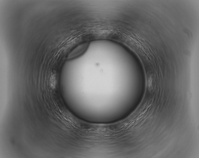 X0000113201204200909171506