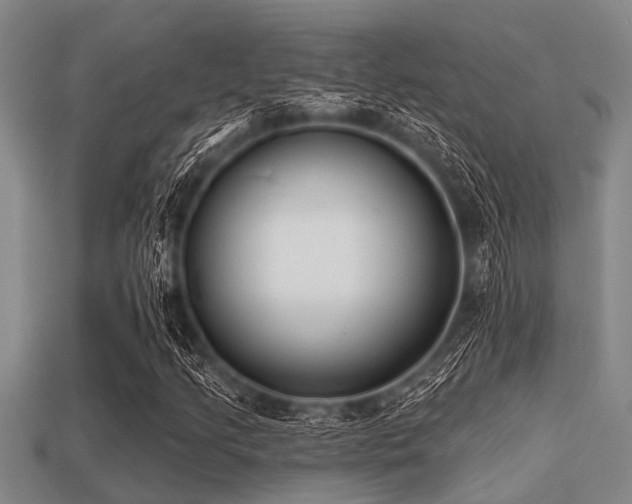 X0000113201205200909171506